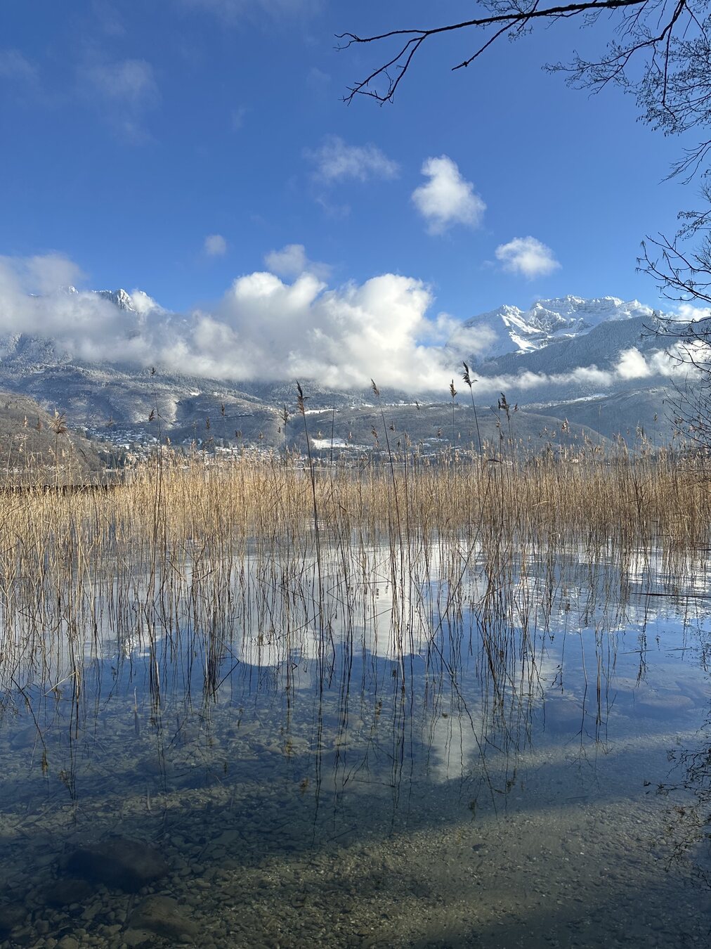 Reflets du lac et montagnes depuis les roselières